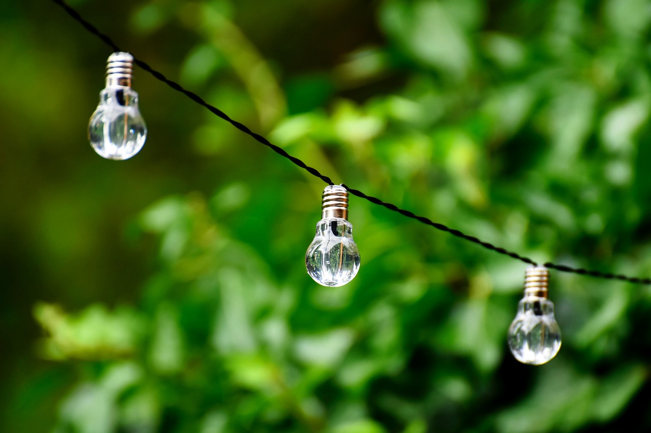 lightbulb, energy, nature