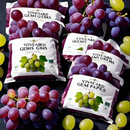 0012345678904 - Grapes_Vineyard Gems