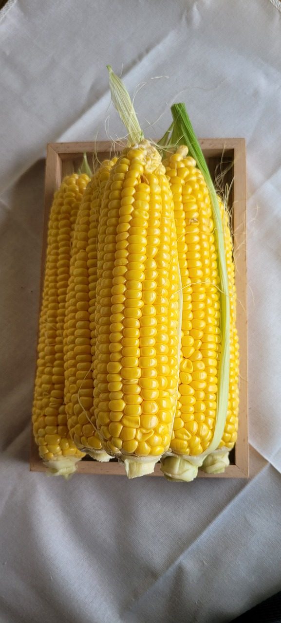 corn per second, per second, sweet corn-6895517.jpg